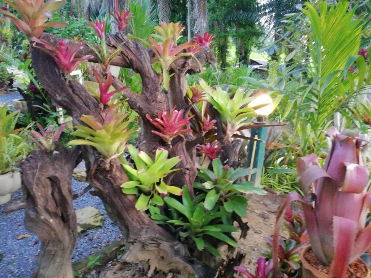 Smile Home Krabi Klong Moung Beach Klong Muang Beach Luaran gambar